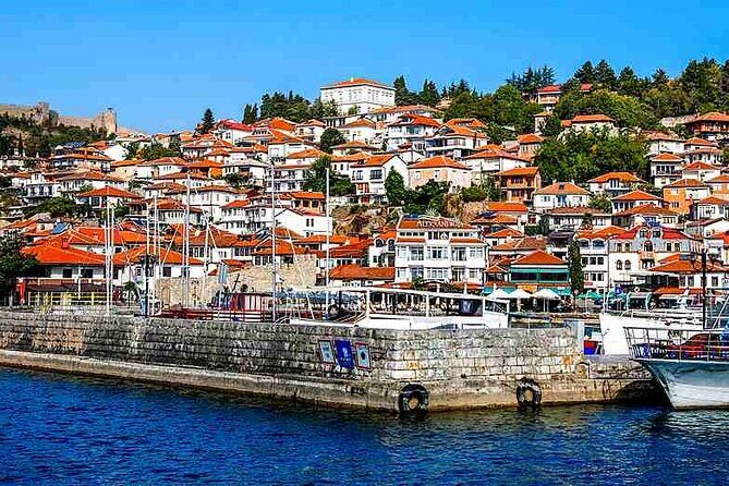 Ohrid Lake Day Trip from Tirana - Transportation & Guide Experience