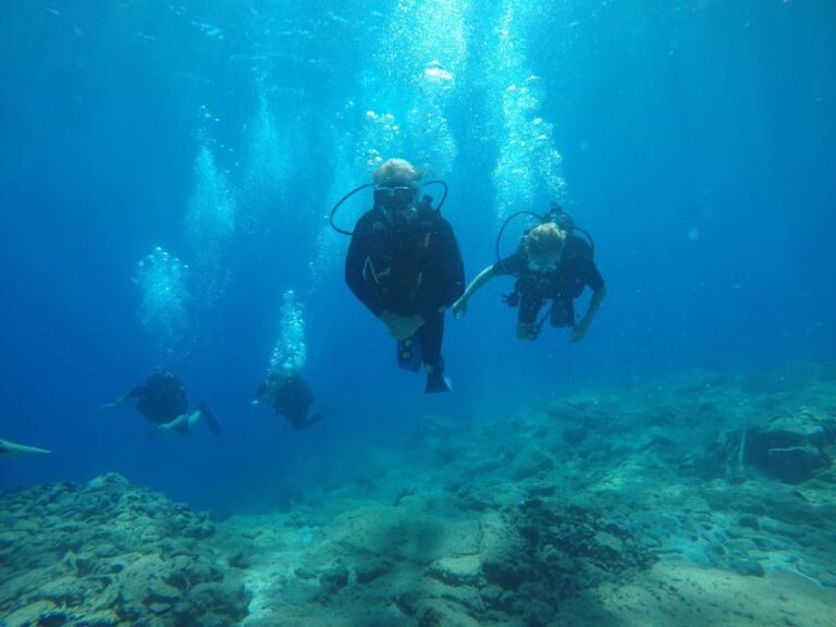 Oia: 2 Guided Scuba Dives off Santorini for Certified Divers - Daily Itinerary and What to Expect
