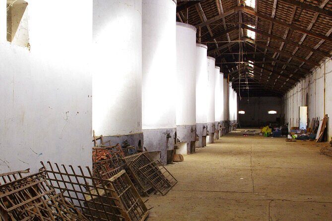 Oil Tour in Historic Baglio Florio Adamo with Lunch - What We Loved and What to Consider