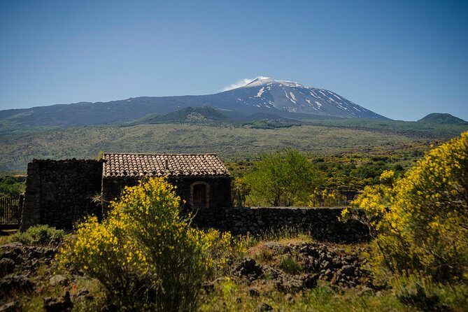 Old Sicily discovery and Etna wine tasting tour from Taormina - What the Reviews Tell Us