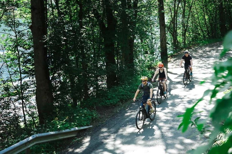 Olden: Guided e-bike tour - In-Depth Look at the Tour Itinerary