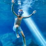 Oldest Olive Tree With Tasting And Lunch - Who Should Consider This Tour?