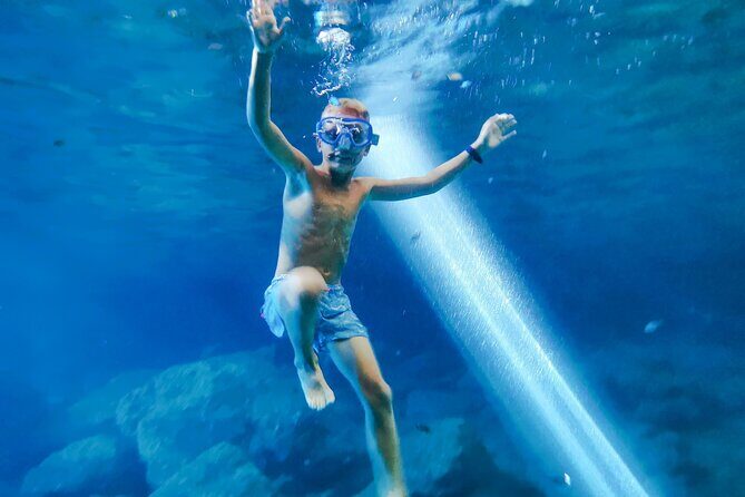 Oldest Olive Tree With Tasting And Lunch - Who Should Consider This Tour?