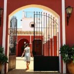 Oleotourism and olive oil tasting in Seville - Private tour - Practical Details & Tips