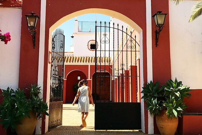 Oleotourism and olive oil tasting in Seville - Private tour - Practical Details & Tips