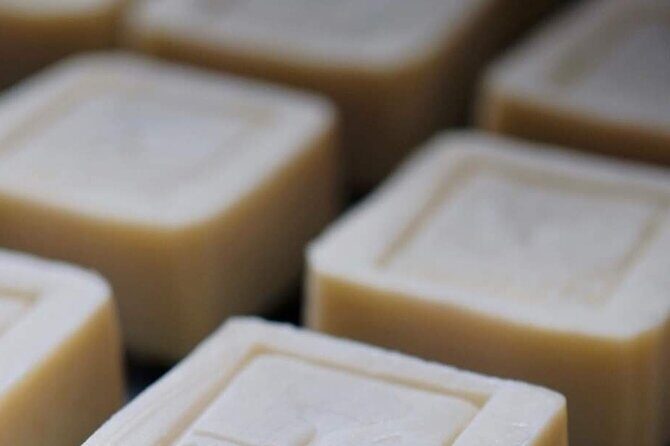 Olive harvest, visit to the oil mill and typical lunch - Who Would Love This Tour?