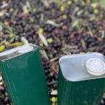Olive Mill and Winery Experience at Castiglione in Teverina - Is This Tour Right for You?