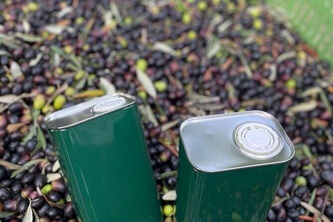 Olive Mill and Winery Experience at Castiglione in Teverina - Is This Tour Right for You?