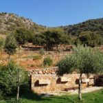Olive Mill Festival - Practical Details and Travel Tips