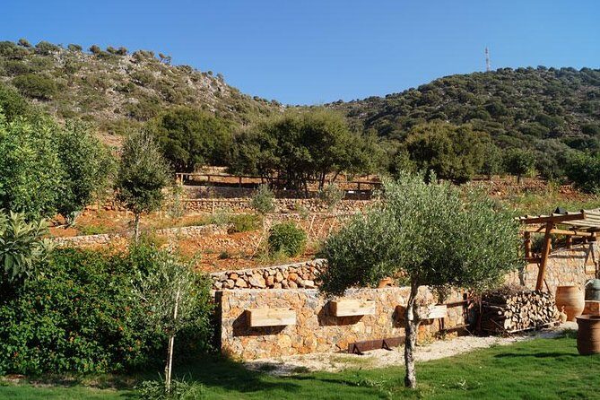 Olive Mill Festival - Practical Details and Travel Tips