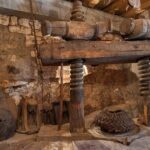 Olive oil farm to fork experience & short walking tour of Kotor - Practical Information: What to Expect and How to Prepare