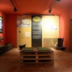 Olive Oil Guided Tasting and History in Pula - The Small Group Experience: Personal and Informative