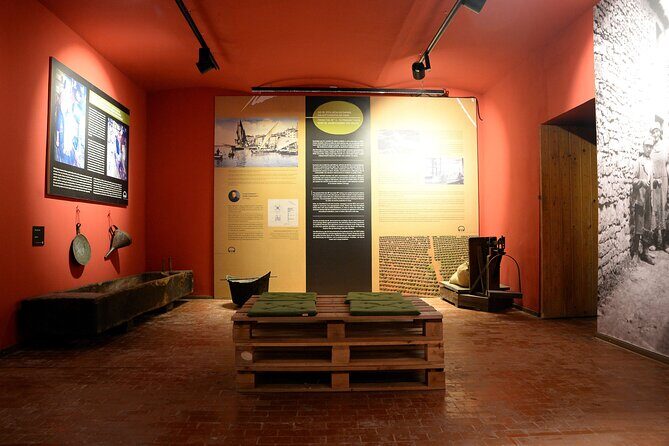 Olive Oil Guided Tasting and History in Pula - The Small Group Experience: Personal and Informative