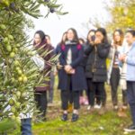 Olive Oil Mill Visit with Extra-Virgin Olive Oil Tasting in Jaén - FAQ