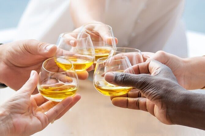 Olive Oil Tasting at the Mykonian Farm - The Sum Up