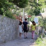 Olive oil tasting in Sorrento - Why This Tour Stands Out