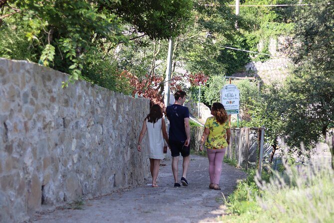 Olive oil tasting in Sorrento - Why This Tour Stands Out