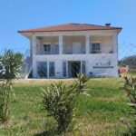 Olive oil tasting with seminar in Metagitsi - Halkidiki - Why This Tour is Worth Considering