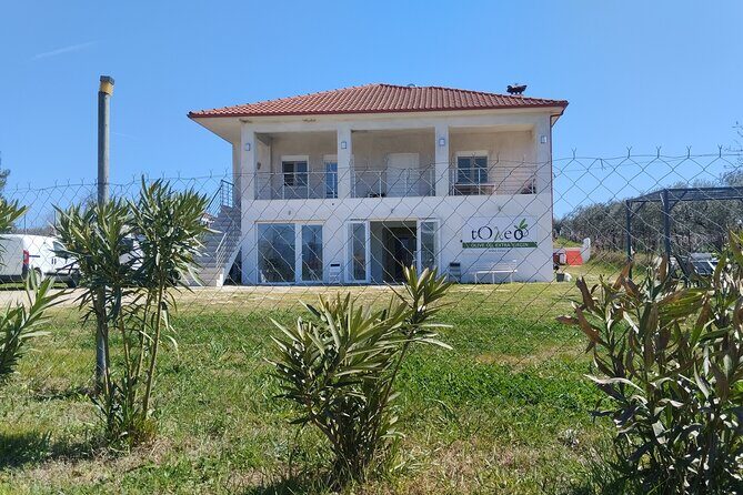 Olive oil tasting with seminar in Metagitsi - Halkidiki - Why This Tour is Worth Considering