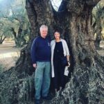 Olive Oil Tour and Visit to Belchite Old Town - What Makes This Tour Stand Out?