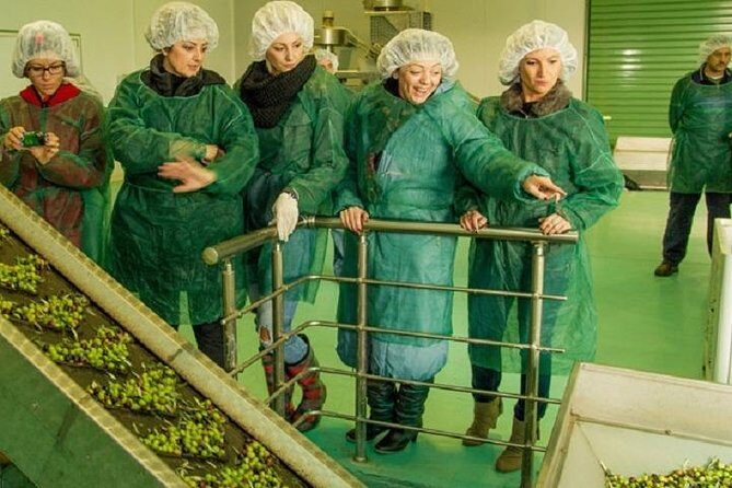 Olive Oil Tour close to Nafplio - Authentic Reviews: What Real Travelers Say