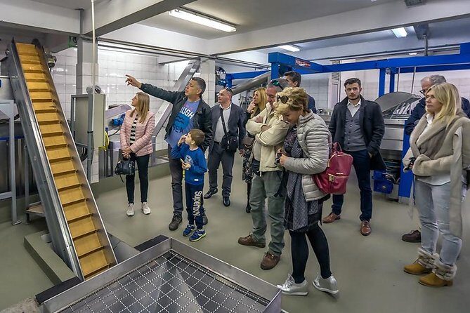 Olive Oil Tour of Solta Island with Lunch - What’s Included and What’s Not