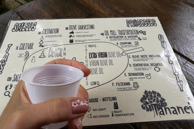 Olive Oil tour with Tuscan dinner - Final Thoughts: Is It Worth It?