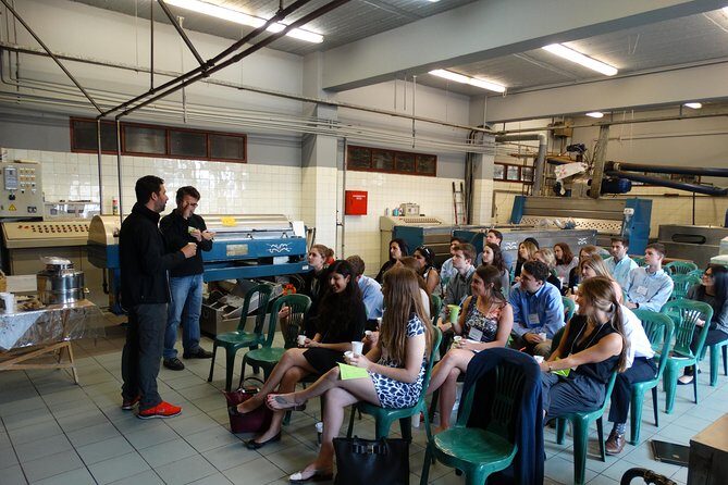 Olive Tour & Tasting - The Sum Up