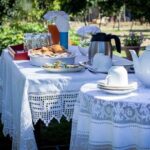 Olympia Shore Ex: Ancient Olympia, Honey Farm & Olive Oil Tasting - Practical Details for Your Trip