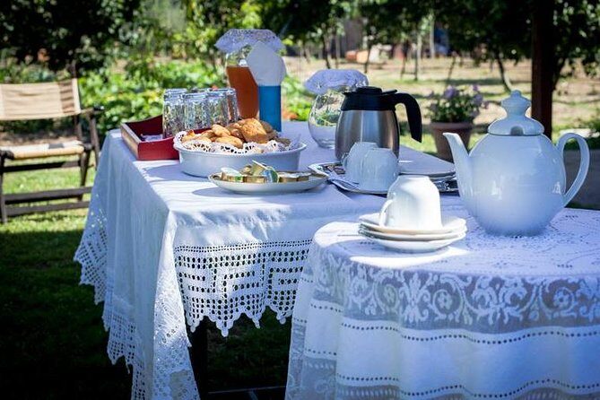 Olympia Shore Ex: Ancient Olympia, Honey Farm & Olive Oil Tasting - Practical Details for Your Trip