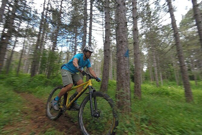 Olympus Mountain Biking - Rides tailored to you - A Close Look at the Olympus Mountain Biking Tour