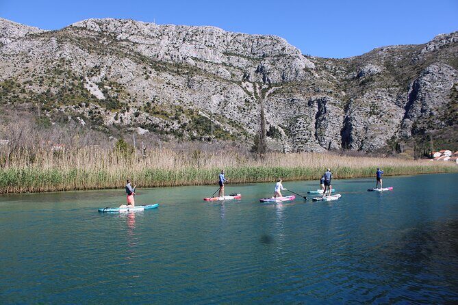 Ombla river Paddleboarding tour in Dubrovnik with snacks - Insights from Reviews That Enrich Your Expectation