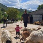 One day cheese making and tasting experience - The Hiking Experience