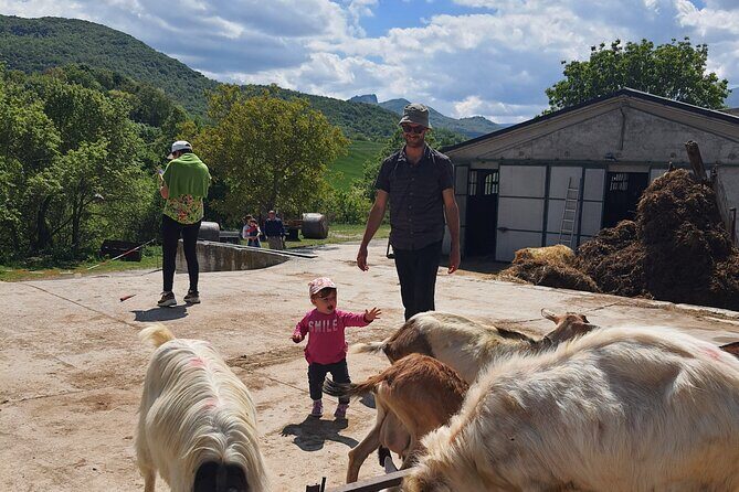 One day cheese making and tasting experience - The Hiking Experience