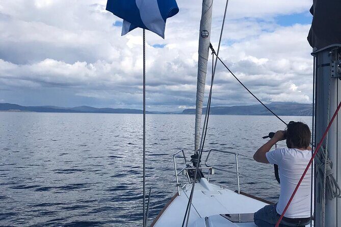 One Day Private Sailing from Oban Marina with Lunch - Who Would Love This Tour?