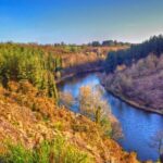 One day stroll in the small towns of character of Ile et Nilaine - Authentic Insights from Past Travelers