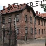 One day tour to Auschwitz-Birkenau & Salt Mine from Warsaw with private driver - Why This Tour Works Well