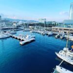 One-hour High-Speed Powerboat Ride - FAQ