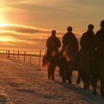 One-Hour Horseback Riding Tour in the Icelandic Countryside - Detailed Itinerary Breakdown