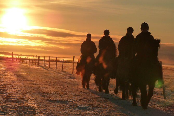One-Hour Horseback Riding Tour in the Icelandic Countryside - Detailed Itinerary Breakdown