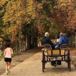 One-hour tour through the historic center and half Renaissance walls - Practical Details and Tips for Your Tour