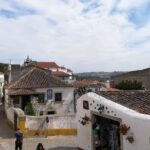 One Way Lisbon to Porto, through Obidos, Nazare, Alcobaca and Aveiro - Final Thoughts
