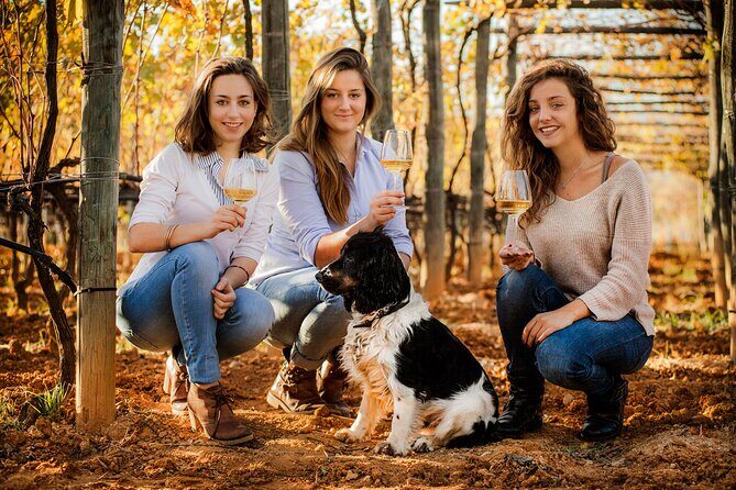 Organic Family Winery Experience in Liguria - Final Thoughts: Why Choose This Experience?