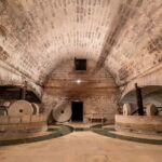 Organic Wine and Olive Oil Tasting Experience near Lecce - What Reviewers Say: Authentic Feedback