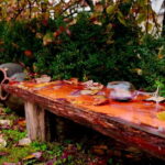 Organic Wine Full Day Private Tour With Tastings and Lunch - Who Is This Tour Best Suited For?