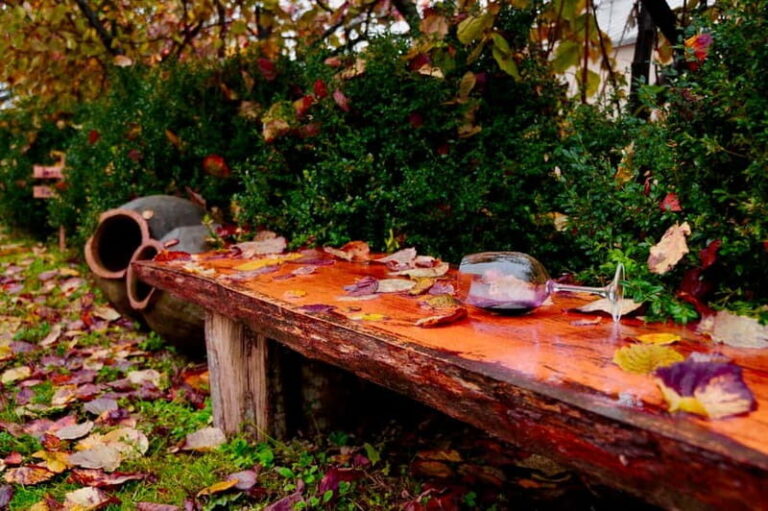 Organic Wine Full Day Private Tour With Tastings and Lunch - Who Is This Tour Best Suited For?