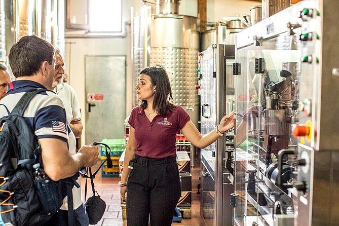 Organic Wine Tasting & Lunch on Vesuvius with Transfer from Sorrento Peninsula - Wine Tasting and Lunch Experience