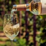 Organic wines of Mtskheta - private tour with lunch and wine tastings - Why This Tour Offers Value