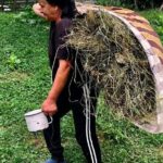 Original Carpathian Village Experience and Sinaia in one day tour - Authentic Experiences & Tips