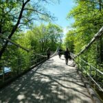 Oslo City Walks - Historic River Walk - The Mathallen Food Court: A Gourmet Finish